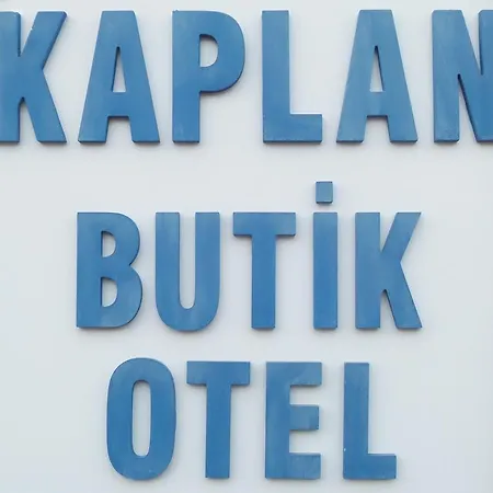 Kaplan Butik 호텔 *